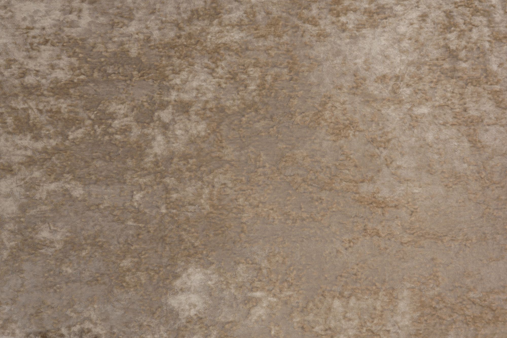Alamo Beige 04