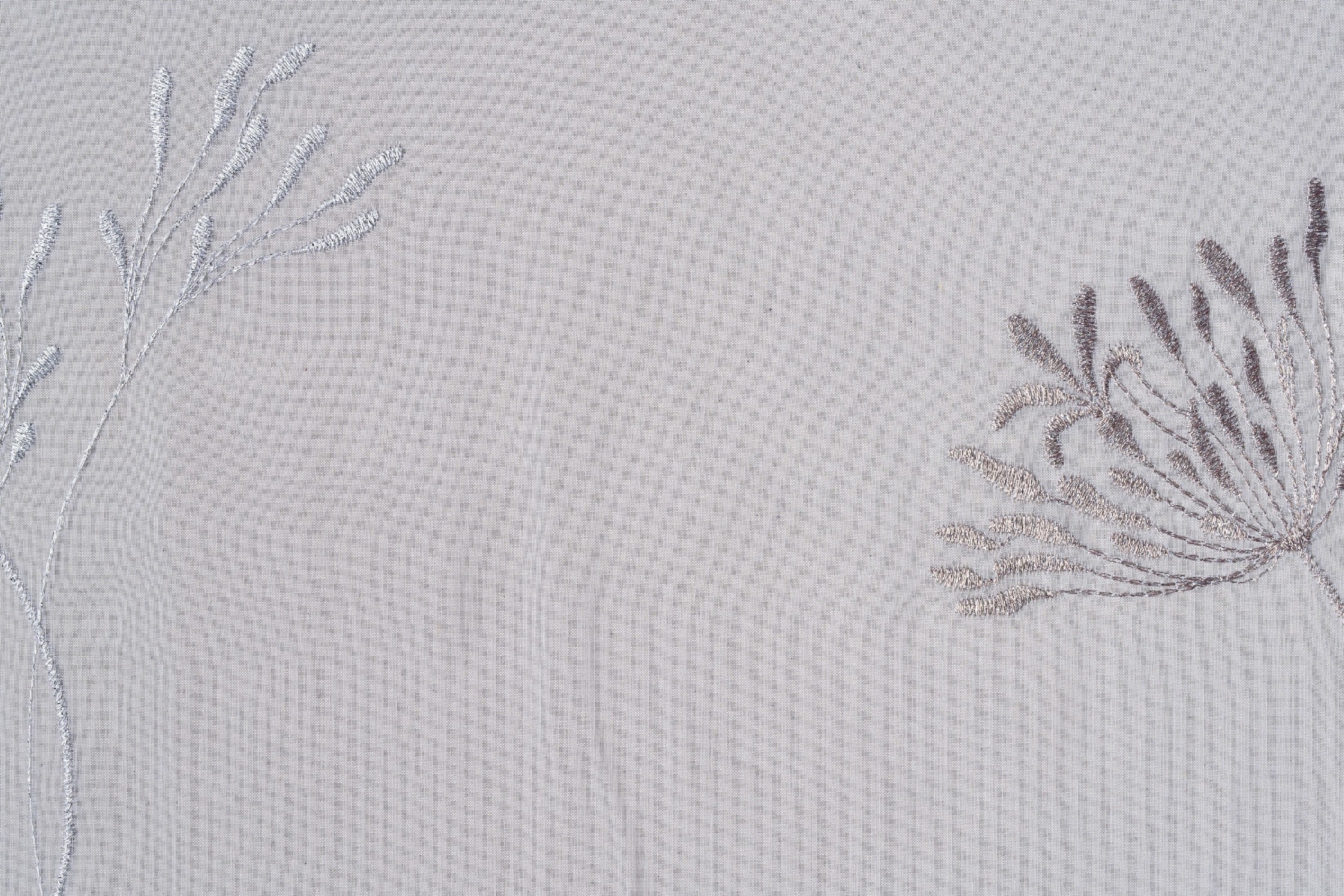 White T01