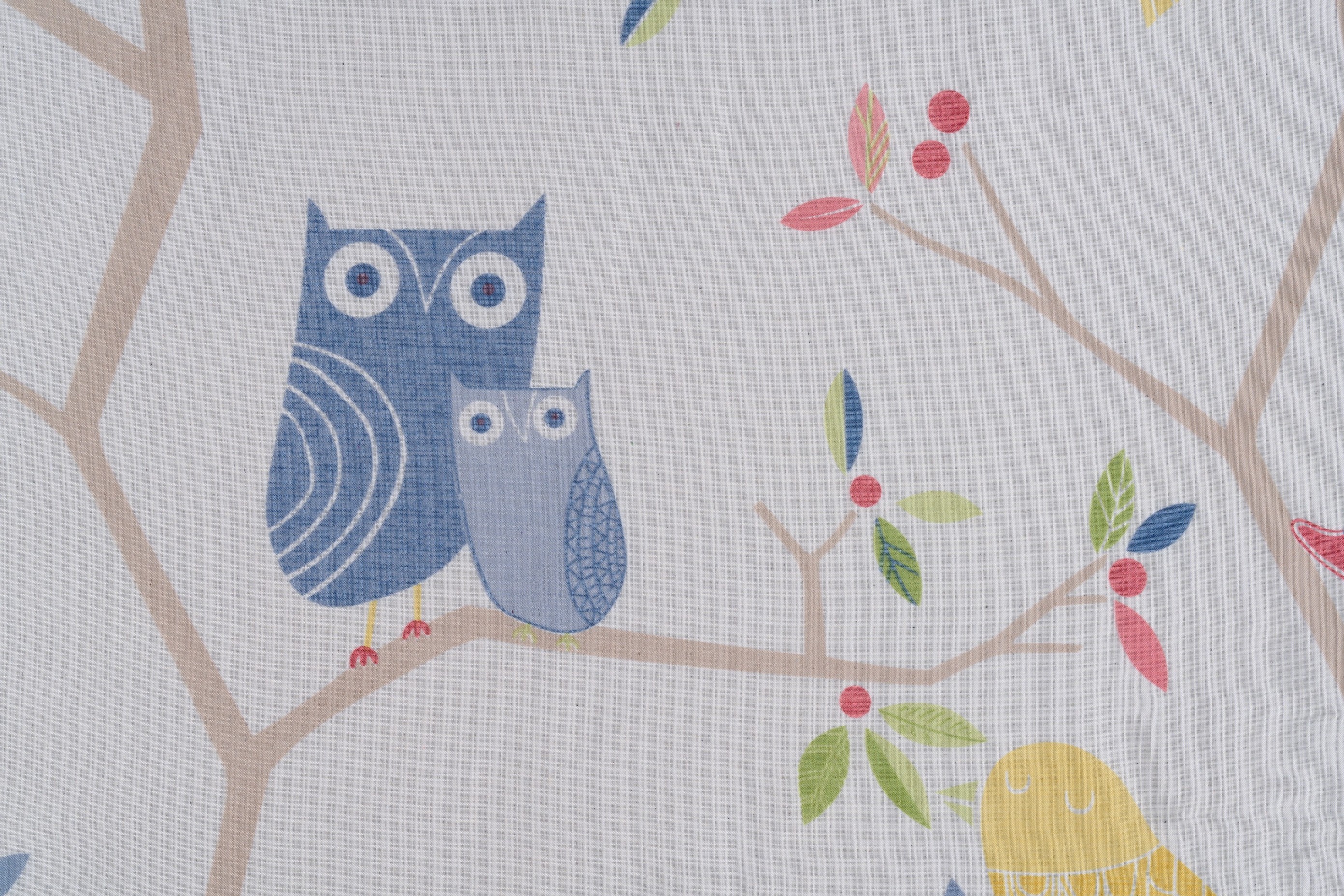 Owl White-Blue C1