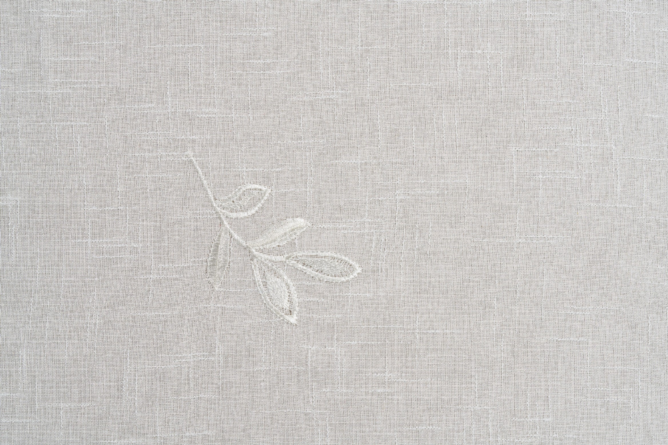 White-Cream 01