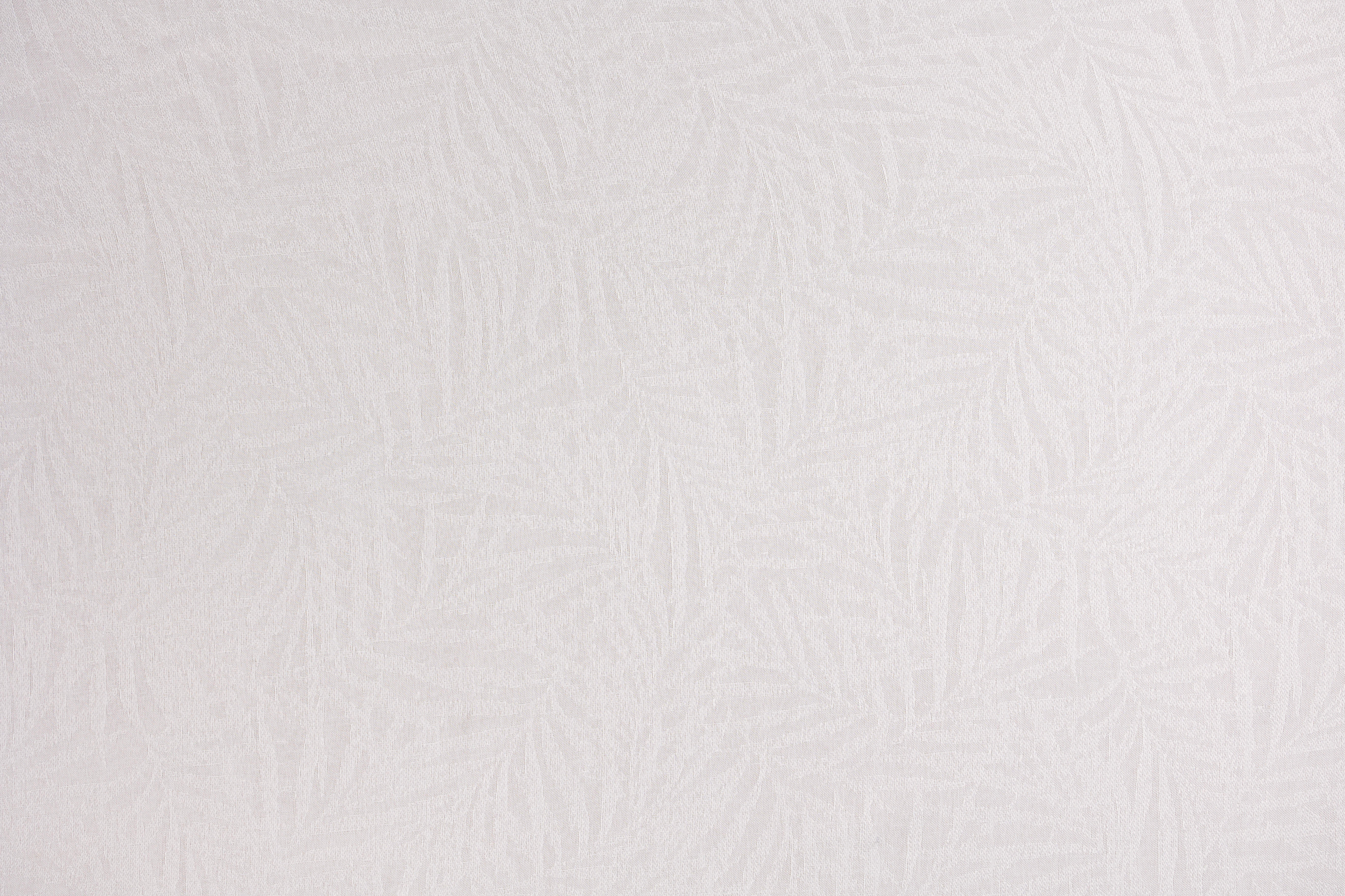 Albero White T01
