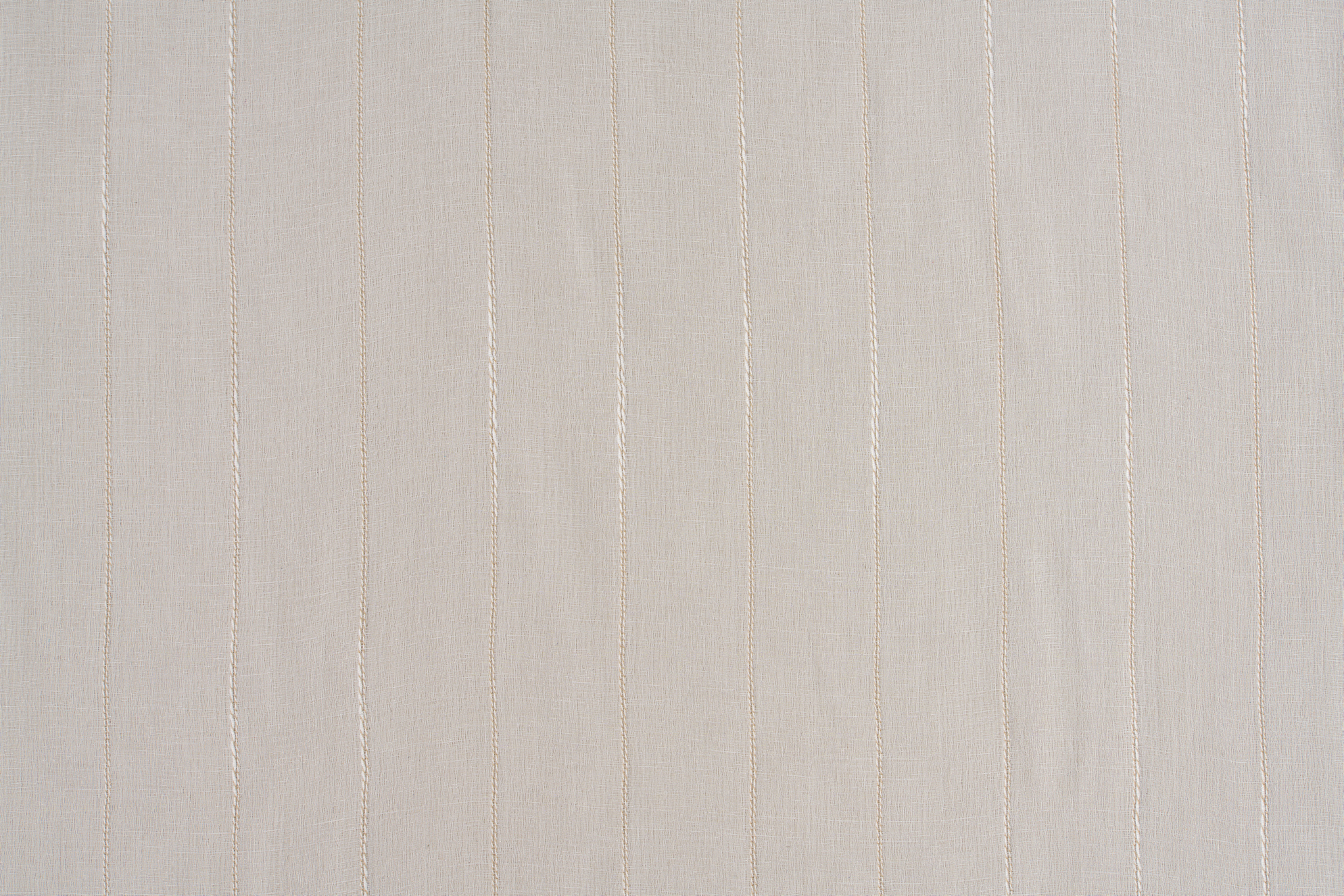 White 01