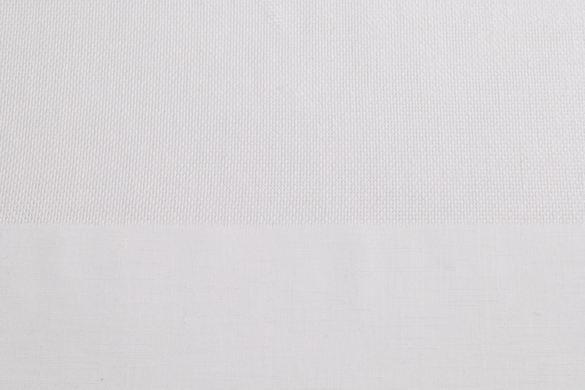 White T01