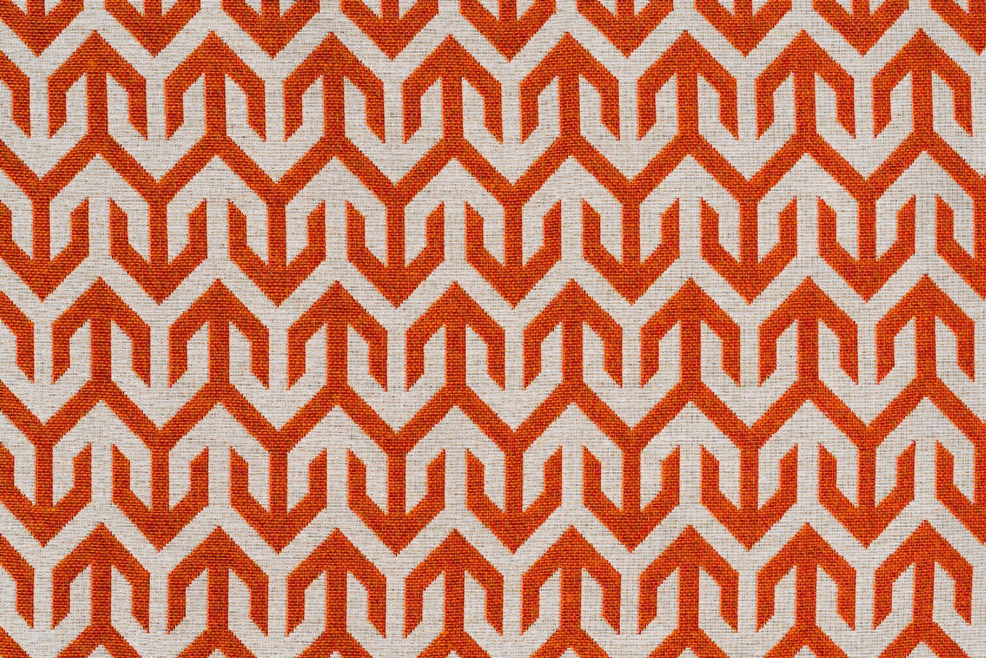 Terracota C5
