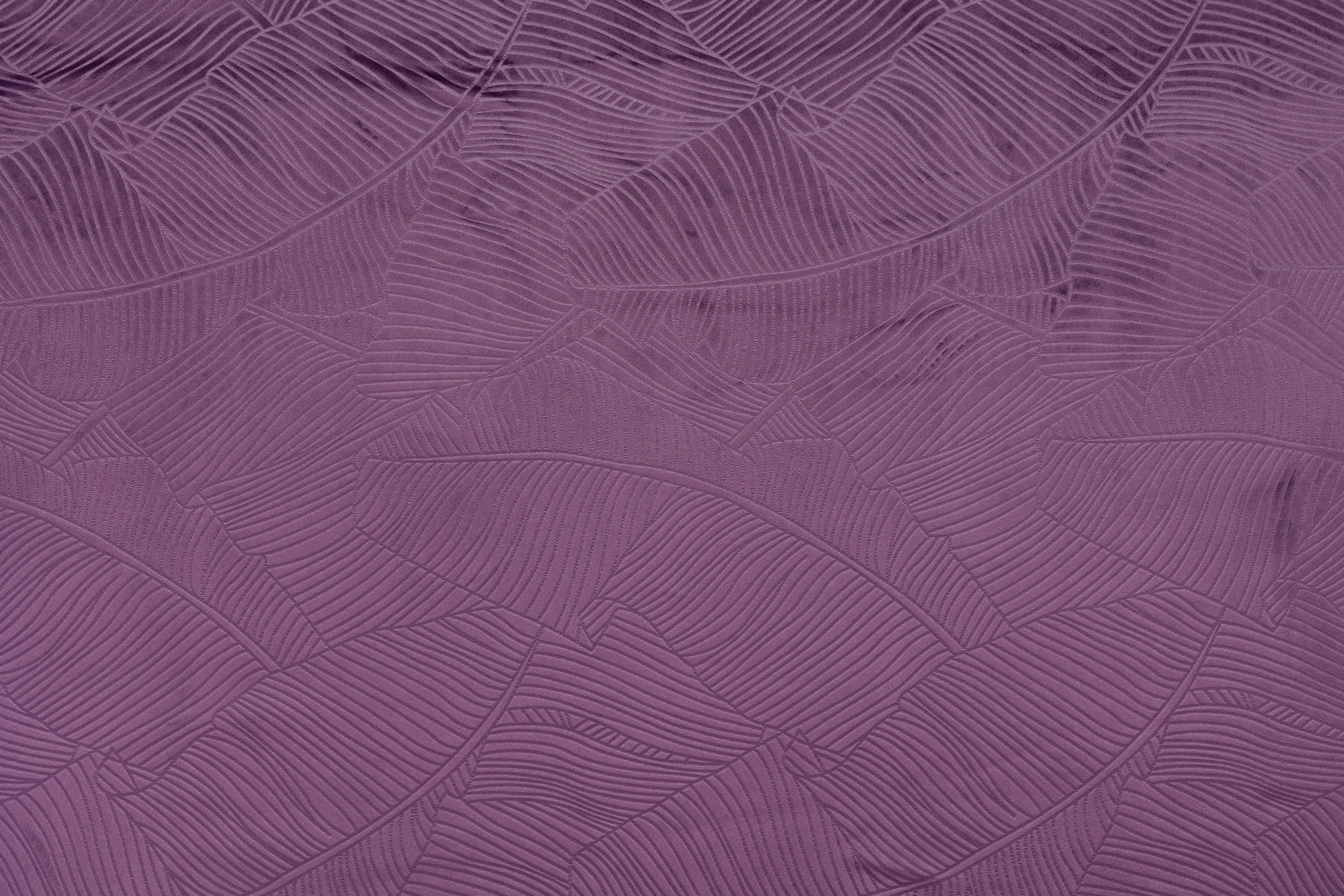 Purple 11