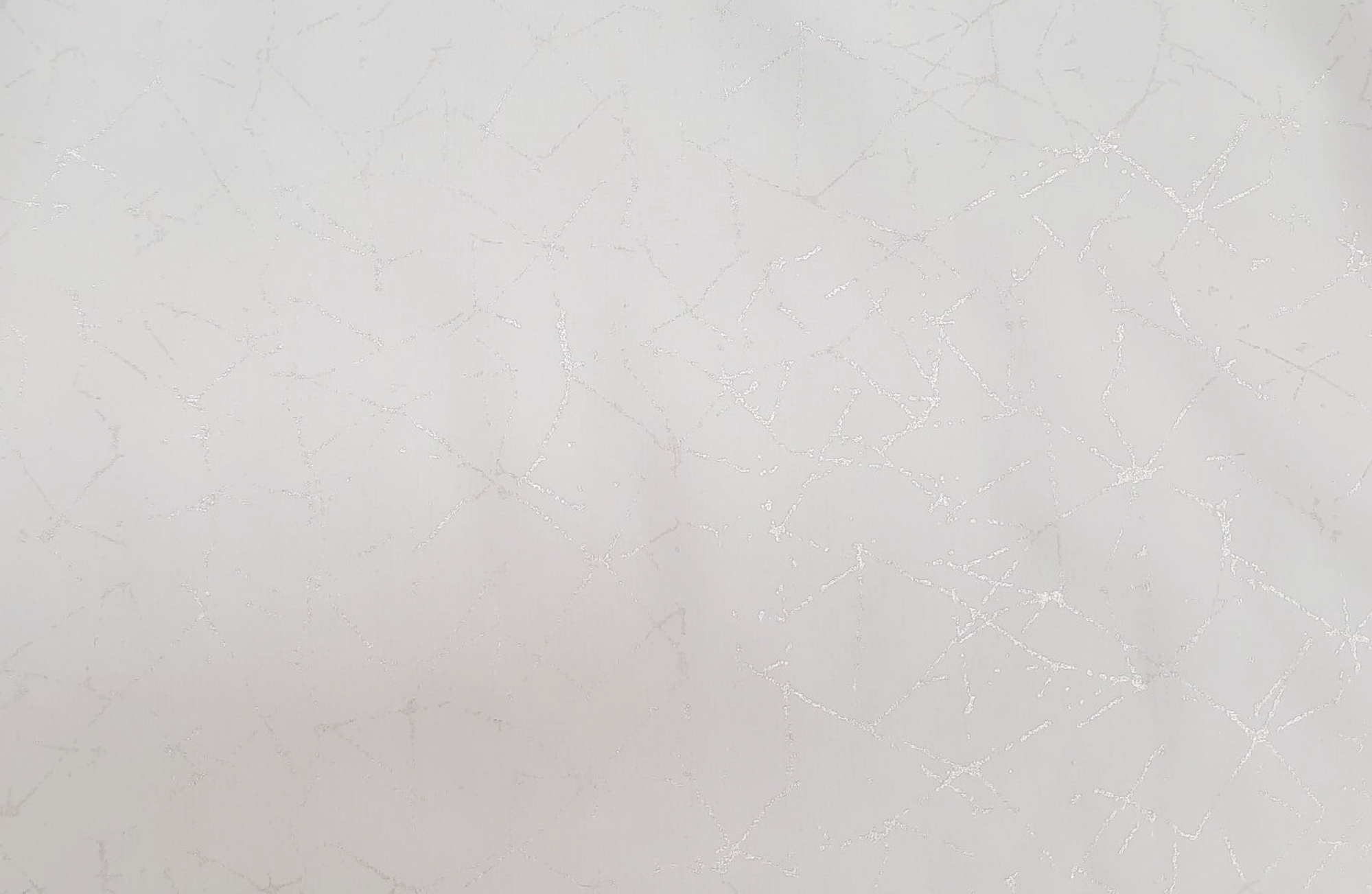 White 01
