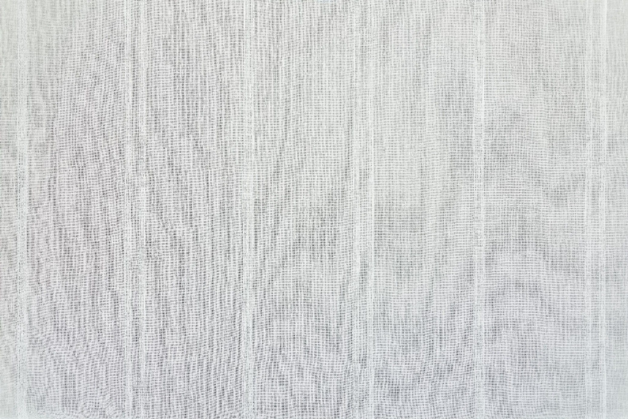 White T01