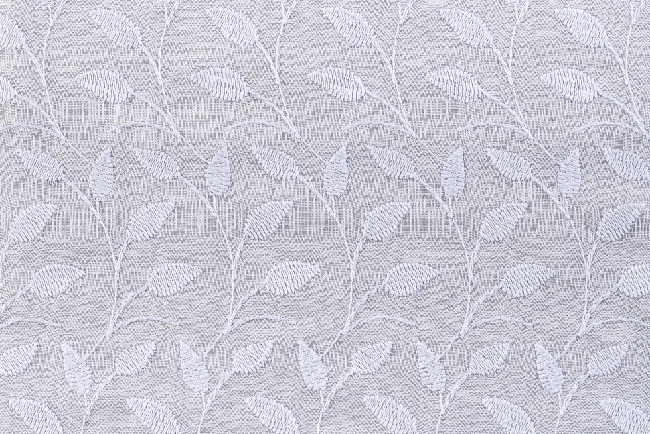 White T01