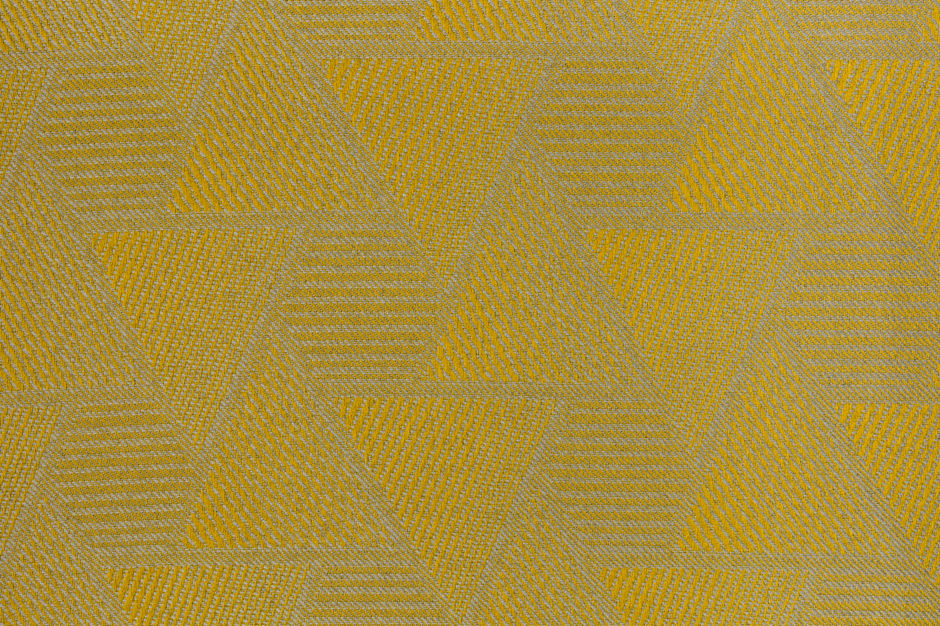Ragusa Mustard 03