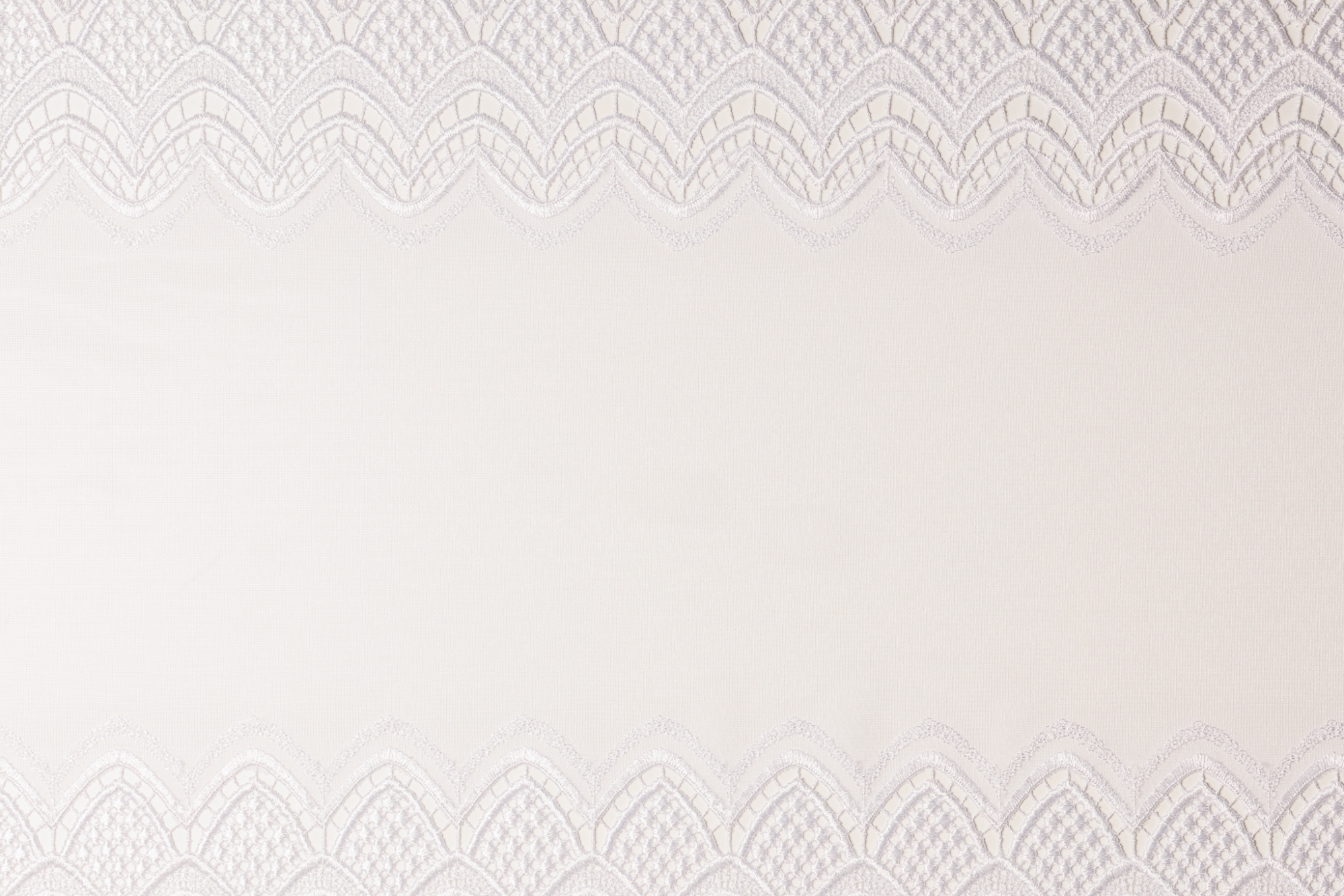 white T01