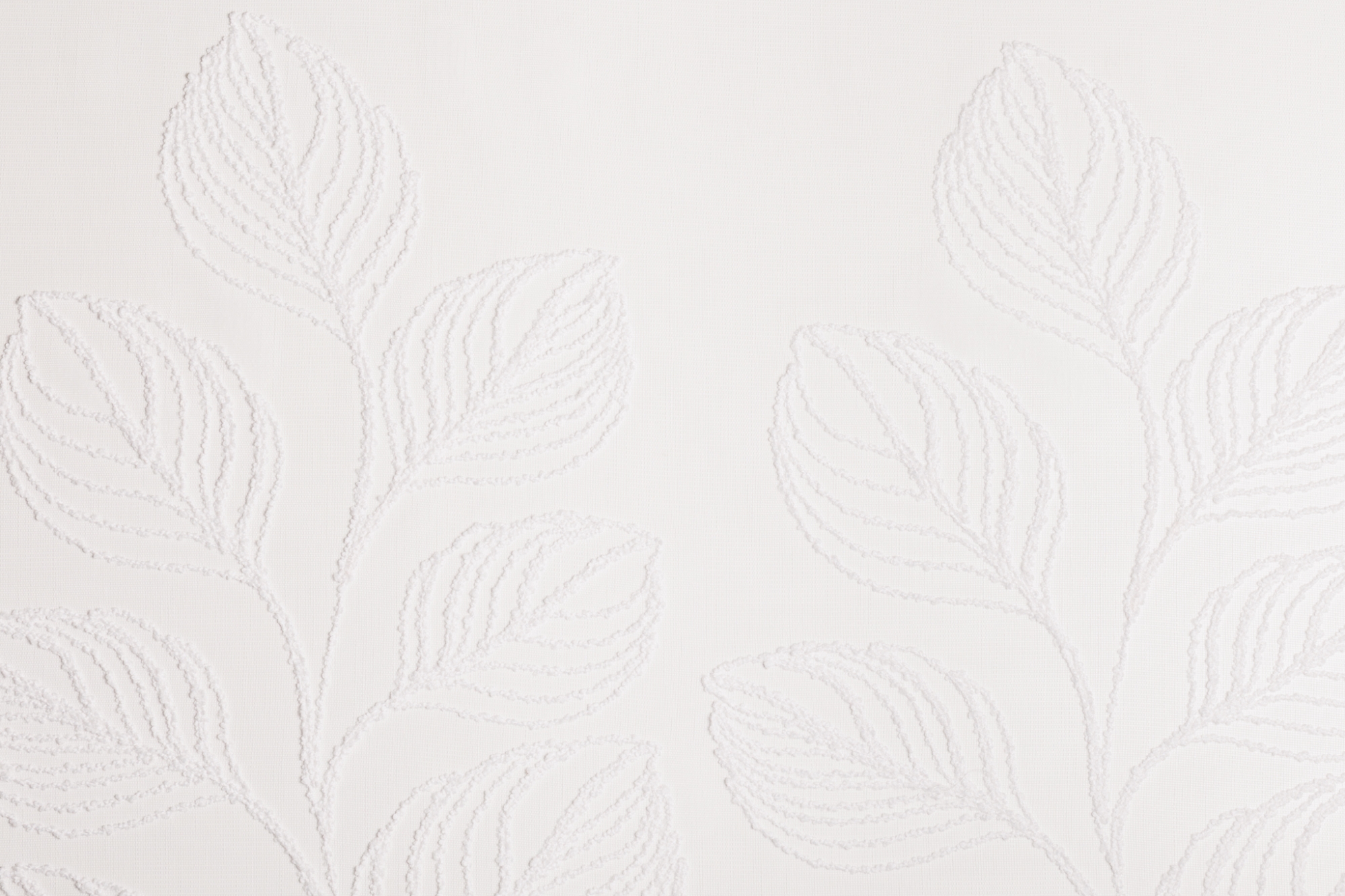 white 01