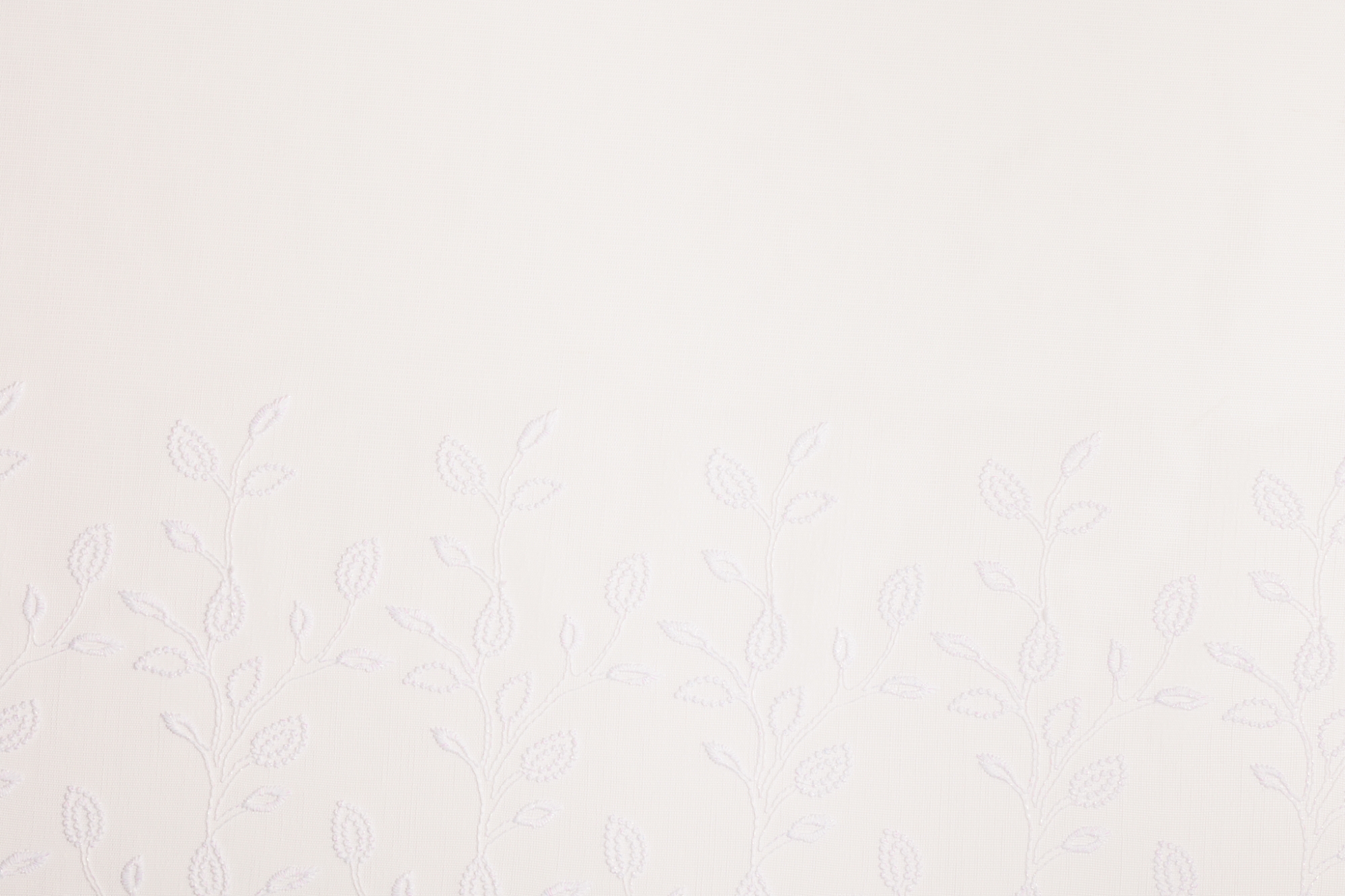 white T01